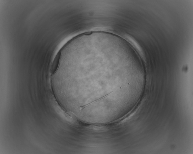 X0000092111340200710101135