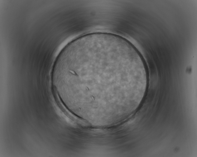 X0000092111341200710101135