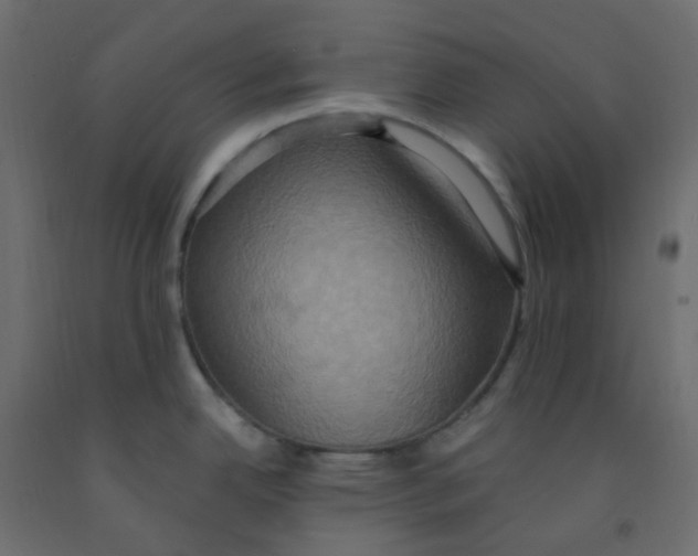 X0000092111342200710101135