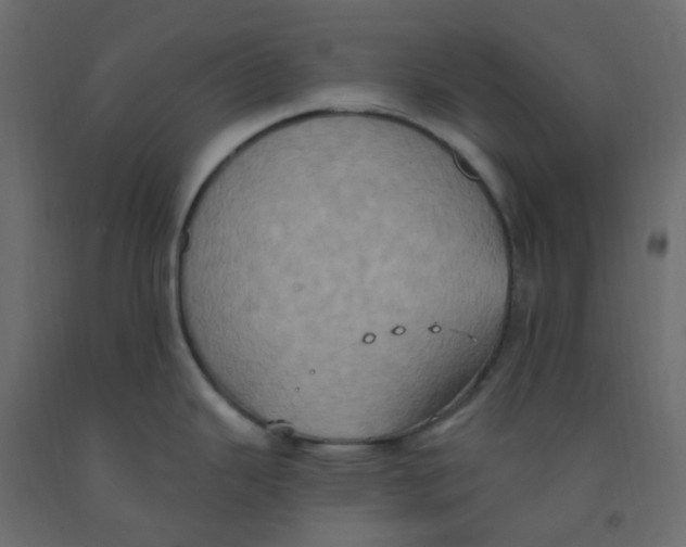 X0000092111343200710101135