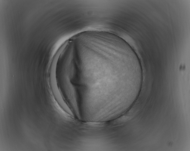 X0000092111344200710101135