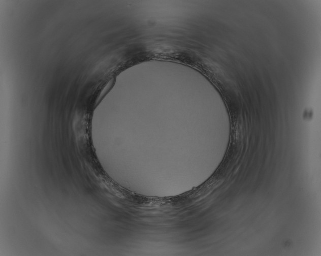 X0000092111346200710101134