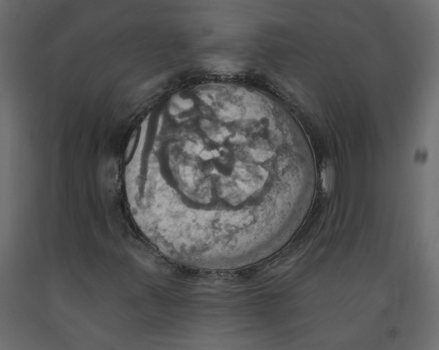 X0000092111347200710101134