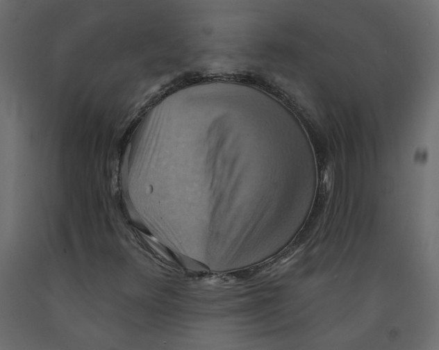 X0000092111348200710101134