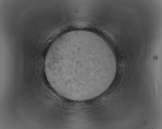 X0000092111349200710101134