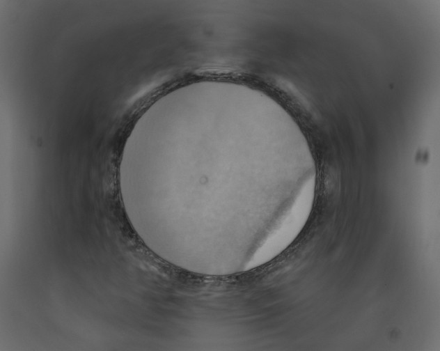 X0000092111350200710101134