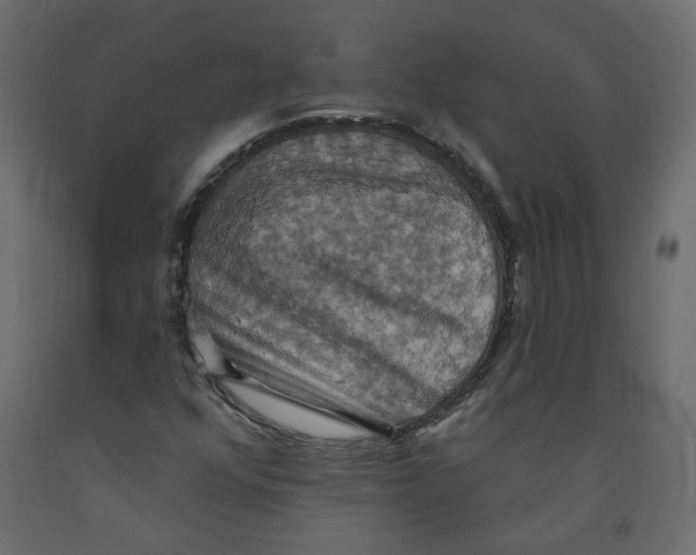 X0000092111352200710101134