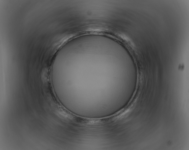 X0000092111353200710101134