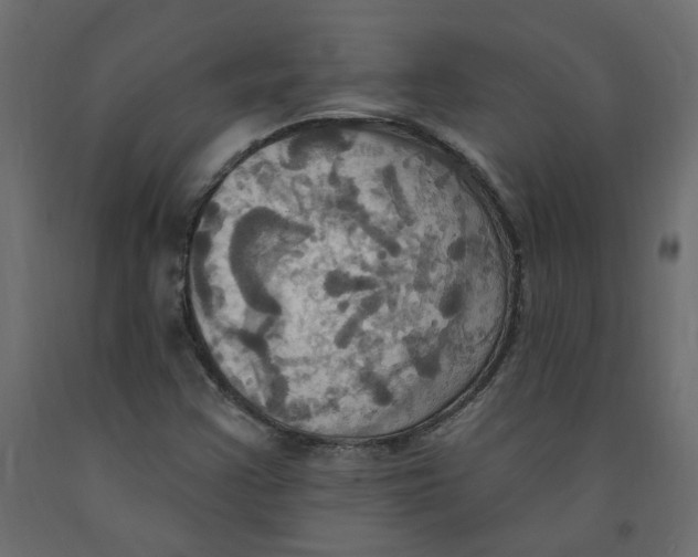 X0000092111355200710101134