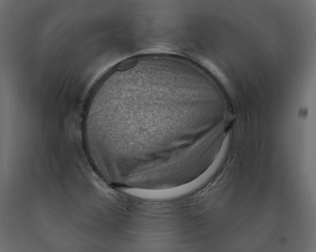 X0000092111356200710101134