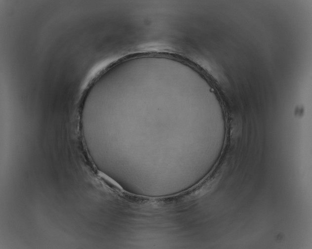 X0000092111358200710101134