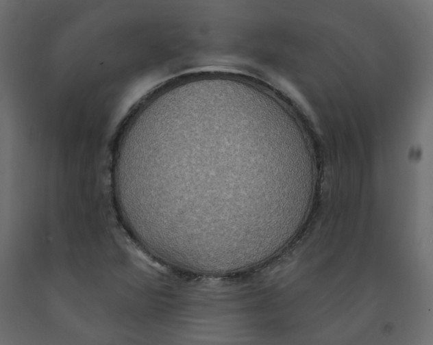 X0000092111360200710101134