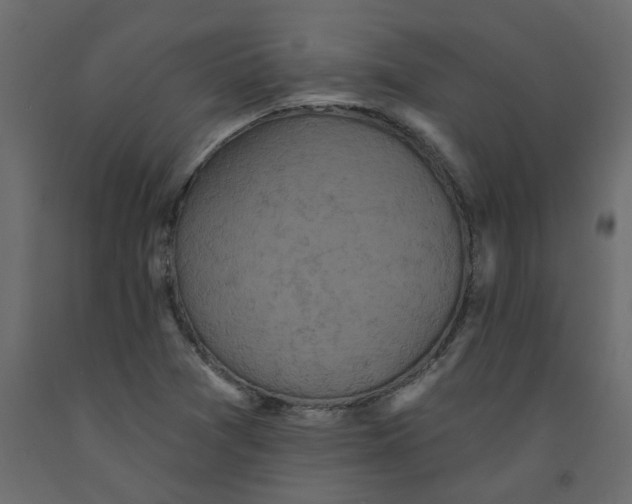 X0000092111361200710101134