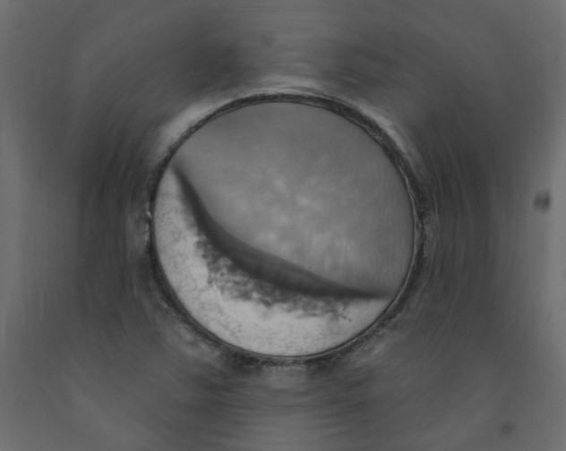 X0000092111363200710101134