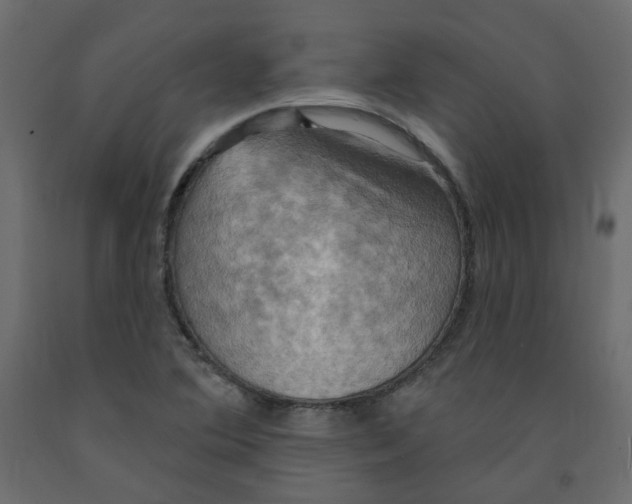 X0000092111364200710101134