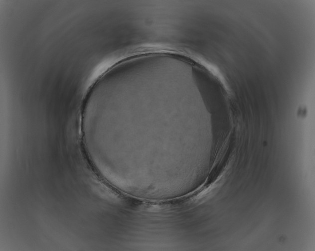 X0000092111365200710101134