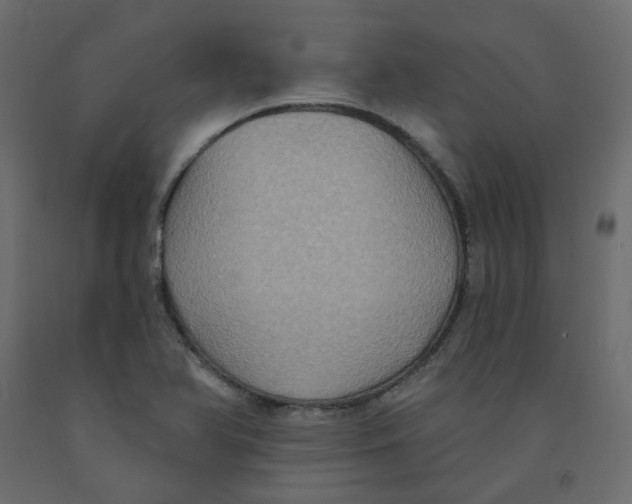 X0000092111366200710101134