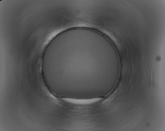 X0000092111367200710101134