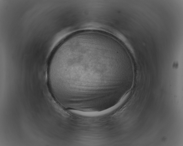 X0000092111368200710101134