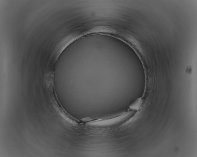 X0000092111369200710101134