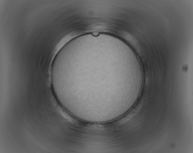 X0000092111370200710101134