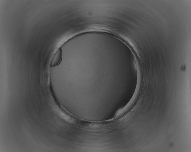 X0000092111371200710101134