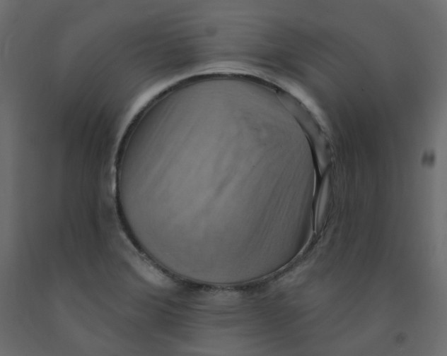 X0000092111372200710101134