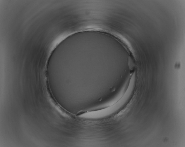 X0000092111373200710101134