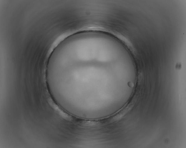 X0000092111374200710101134