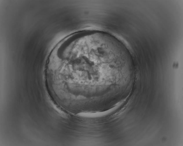 X0000092111375200710101134