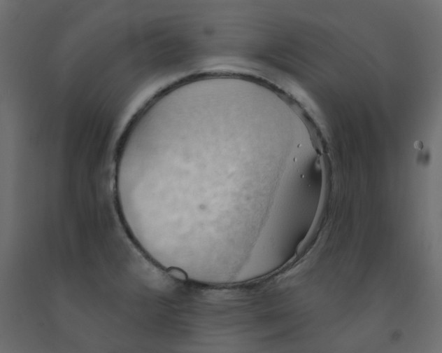 X0000092111376200710101134