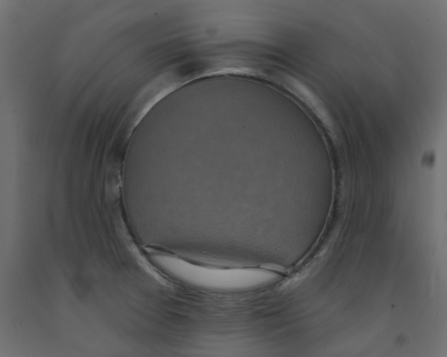 X0000092111377200710101134