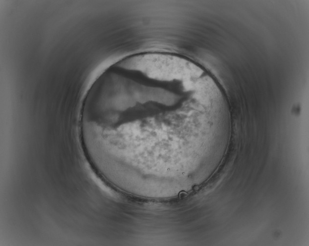 X0000092111379200710101134