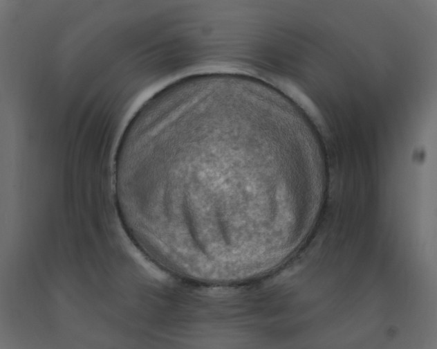 X0000092111380200710101134