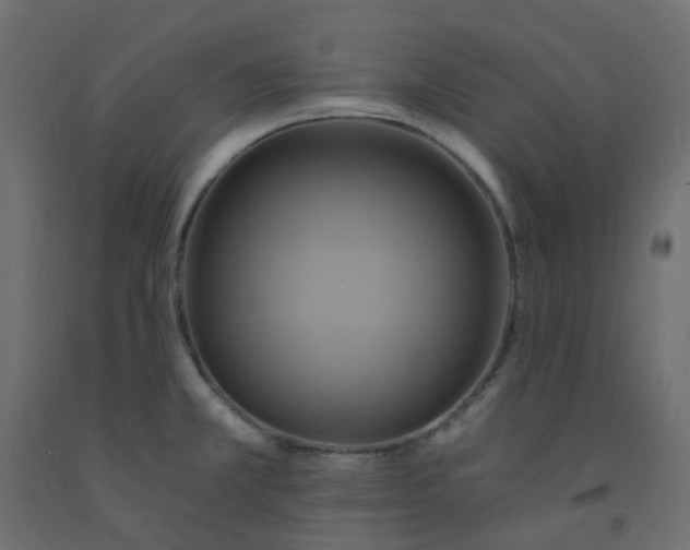 X0000092111381200710101134