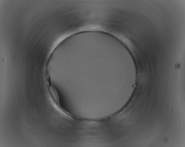 X0000092111382200710101134