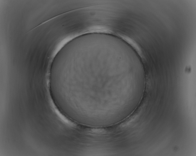 X0000092111383200710101134