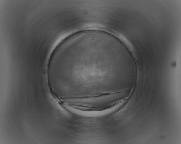 X0000092111384200710101134