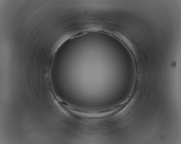 X0000092111385200710101134