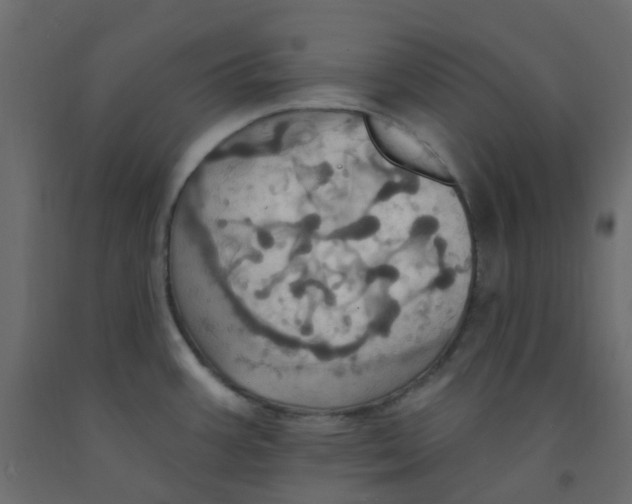 X0000092111387200710101134