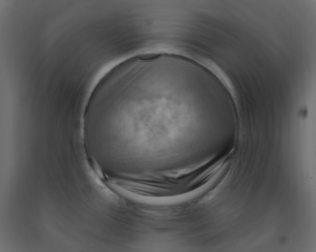 X0000092111388200710101134