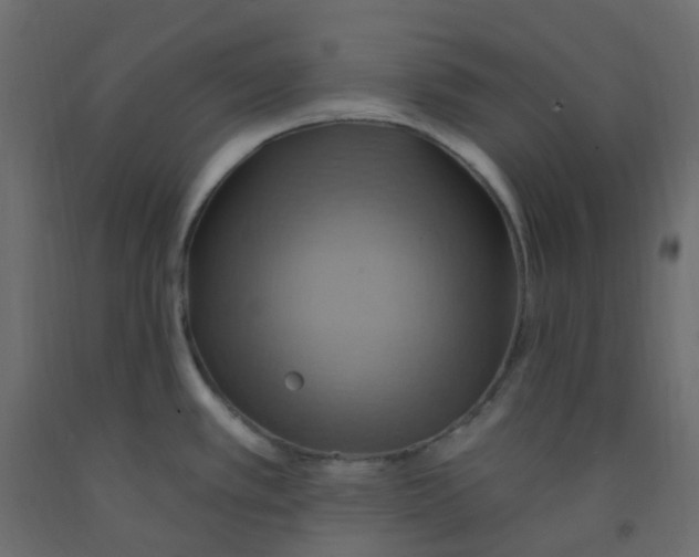 X0000092111389200710101134