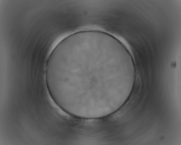 X0000092111390200710101134