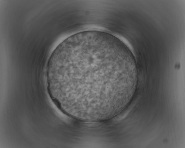 X0000092111391200710101134