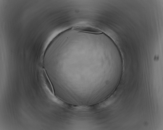 X0000092111392200710101134