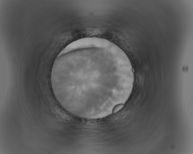 X0000092111393200710101133