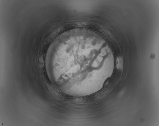 X0000092111395200710101133