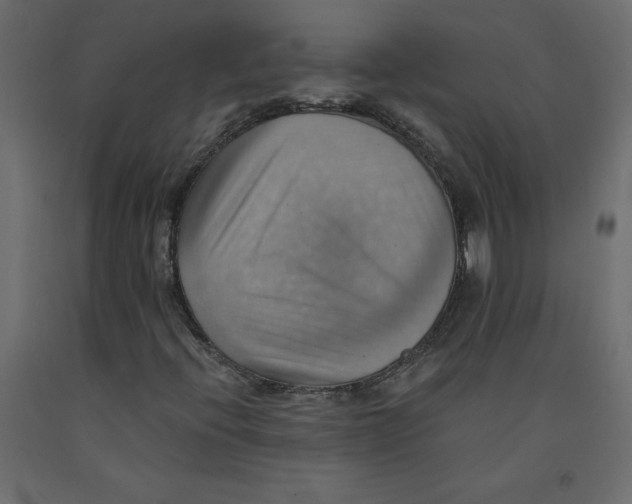 X0000092111396200710101133