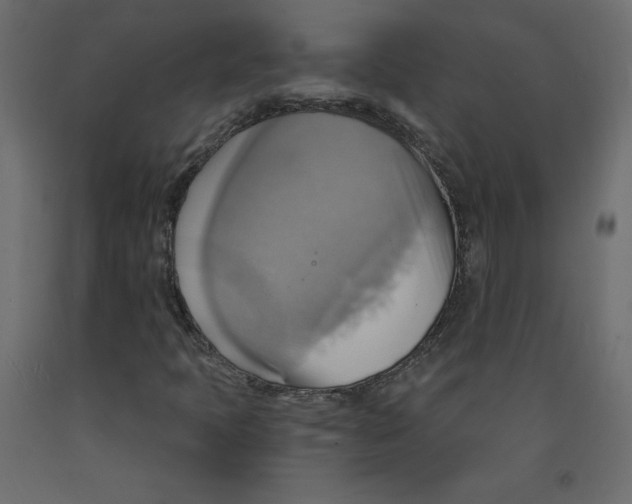 X0000092111397200710101133