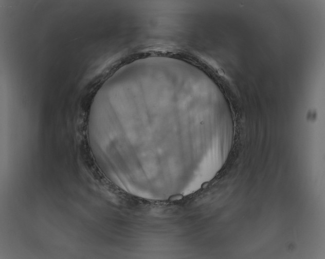 X0000092111399200710101133